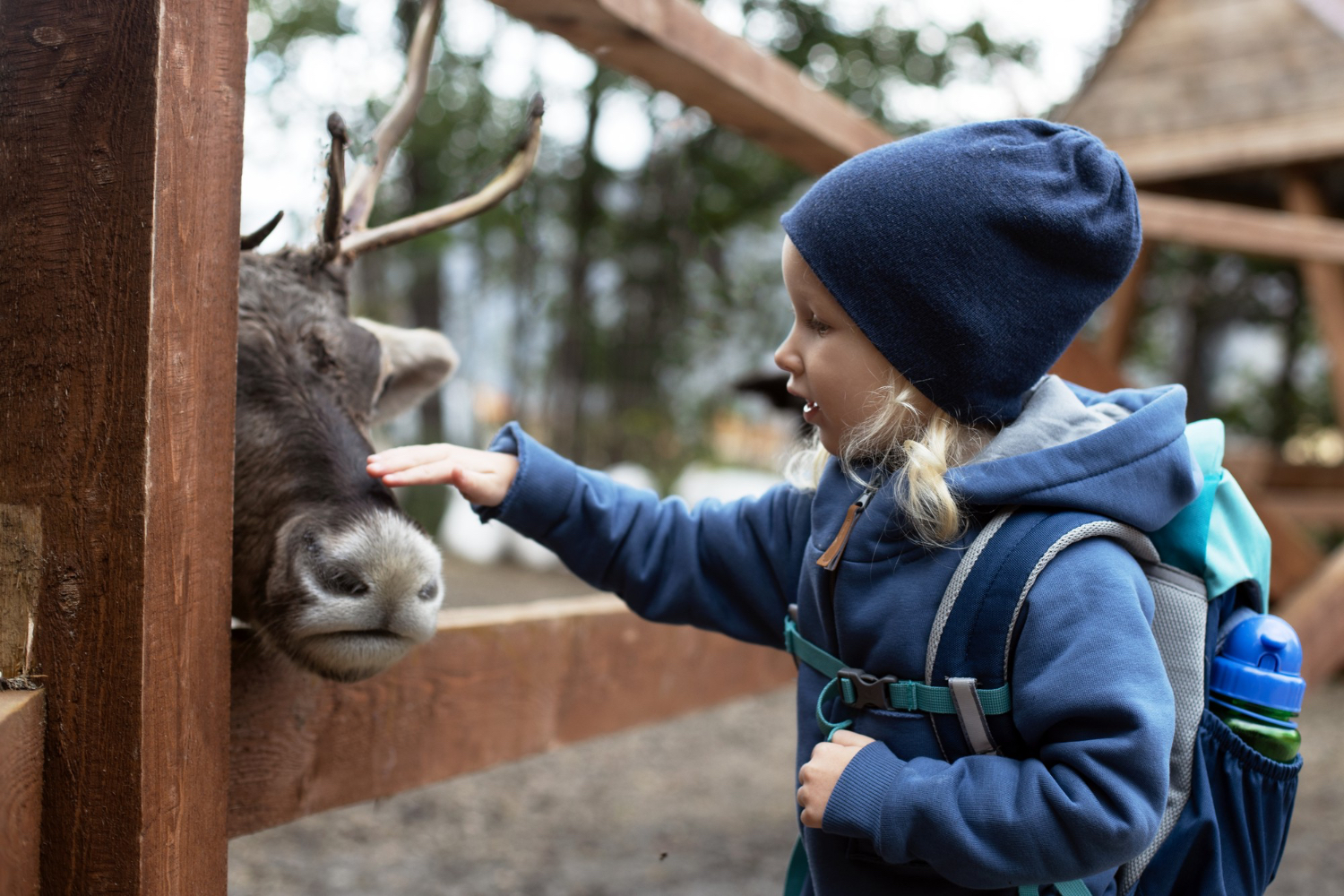 cute-kid-little-girl-stroking-northern-deer-farm-autumn