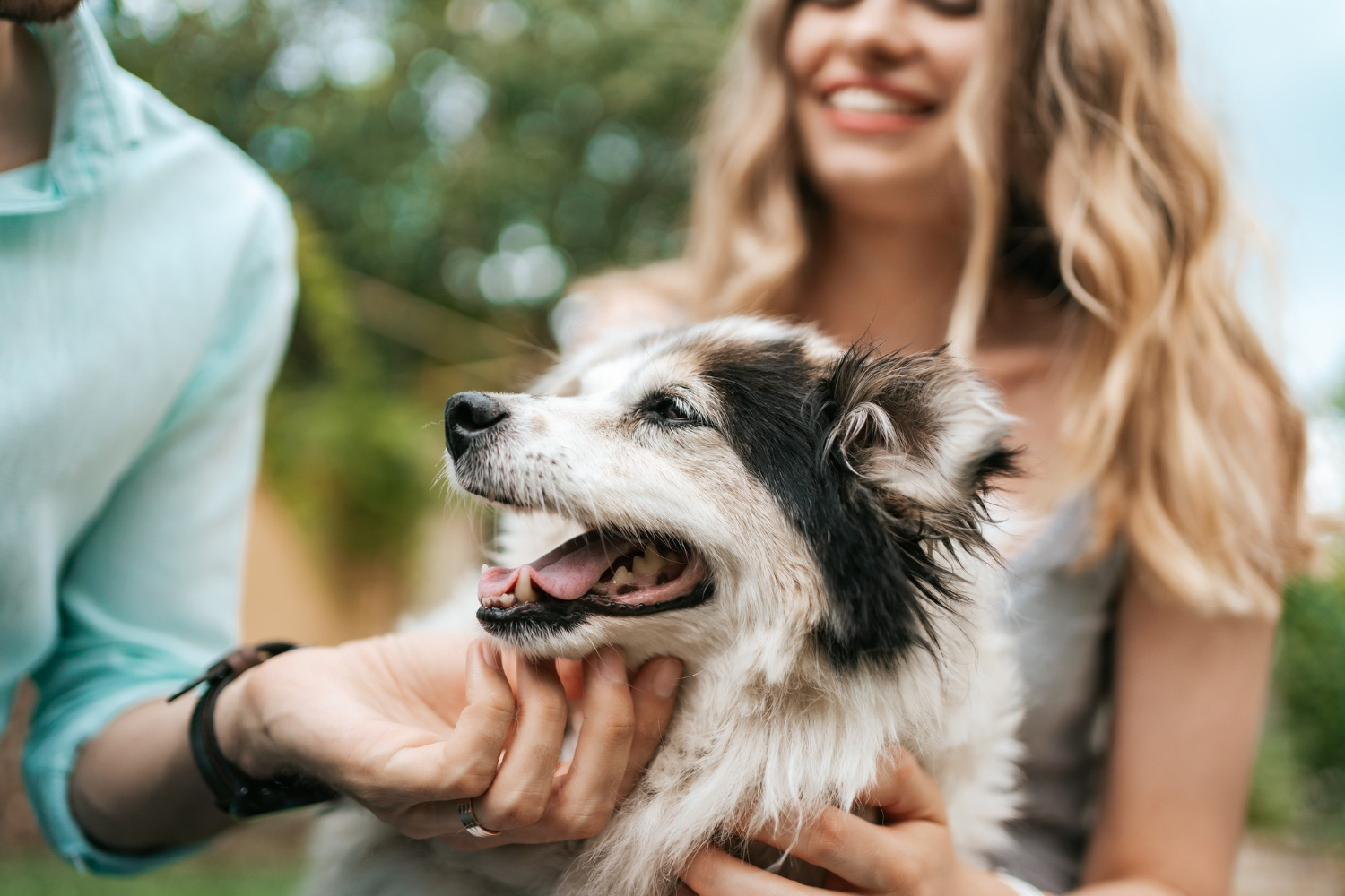 happy-couple-guys-playing-with-their-dog-backyard-grass-cheerful-old-dog