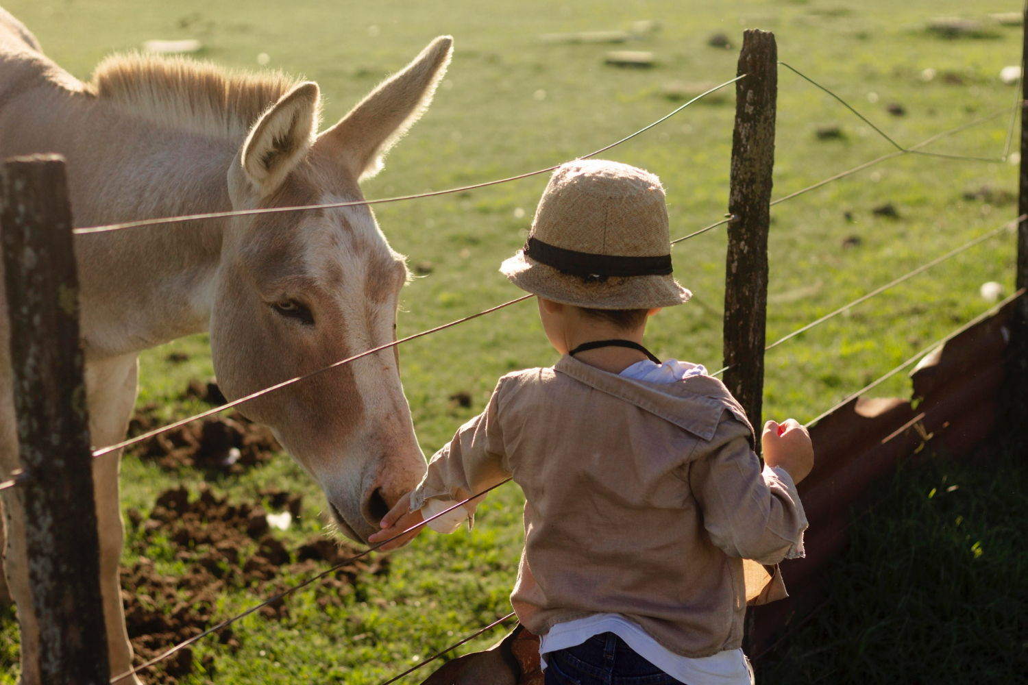 medium-shot-kid-petting-horse