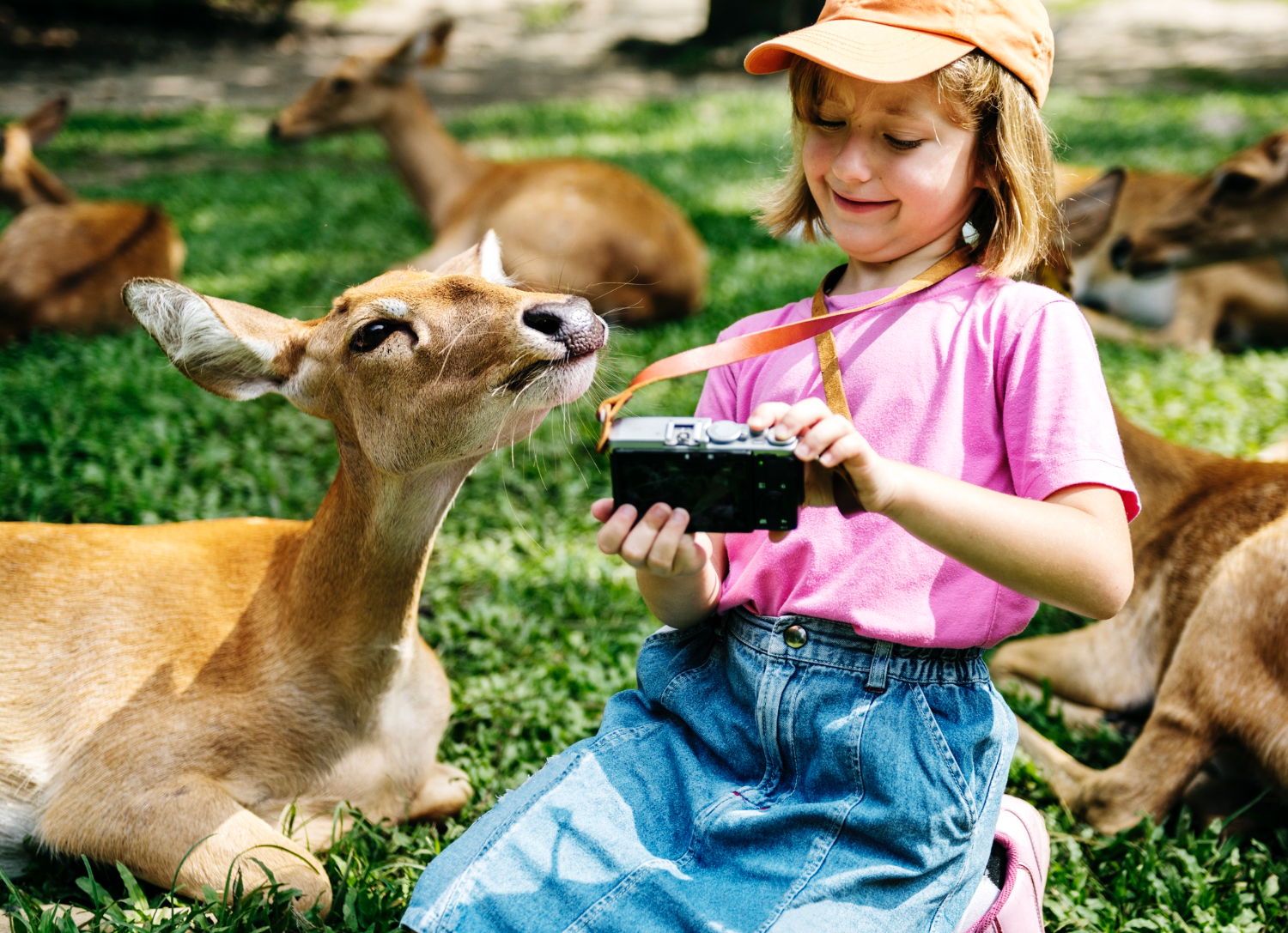 young-caucasian-girl-taking-selfie-with-deers-zoo-2